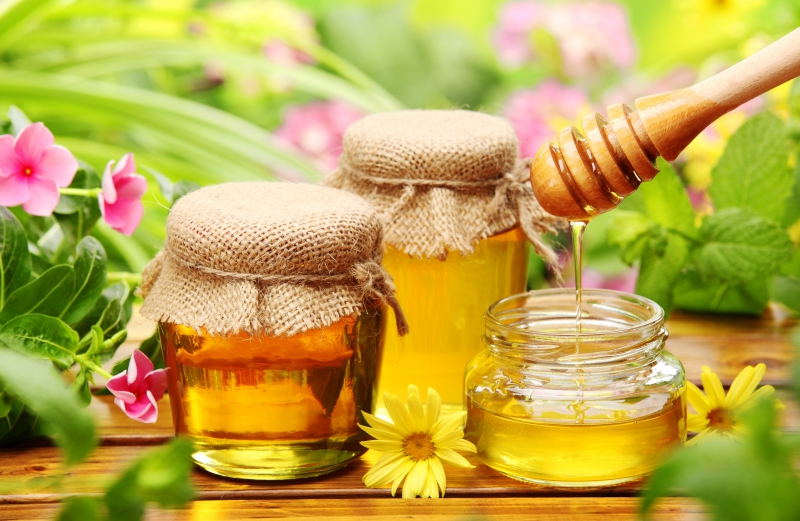 Tác dụng của Nấm Linh Chi với mật ong-1