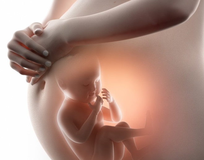Bạn đã biết hết về công dụng của yến sào đối với thai nhi chưa ? 1