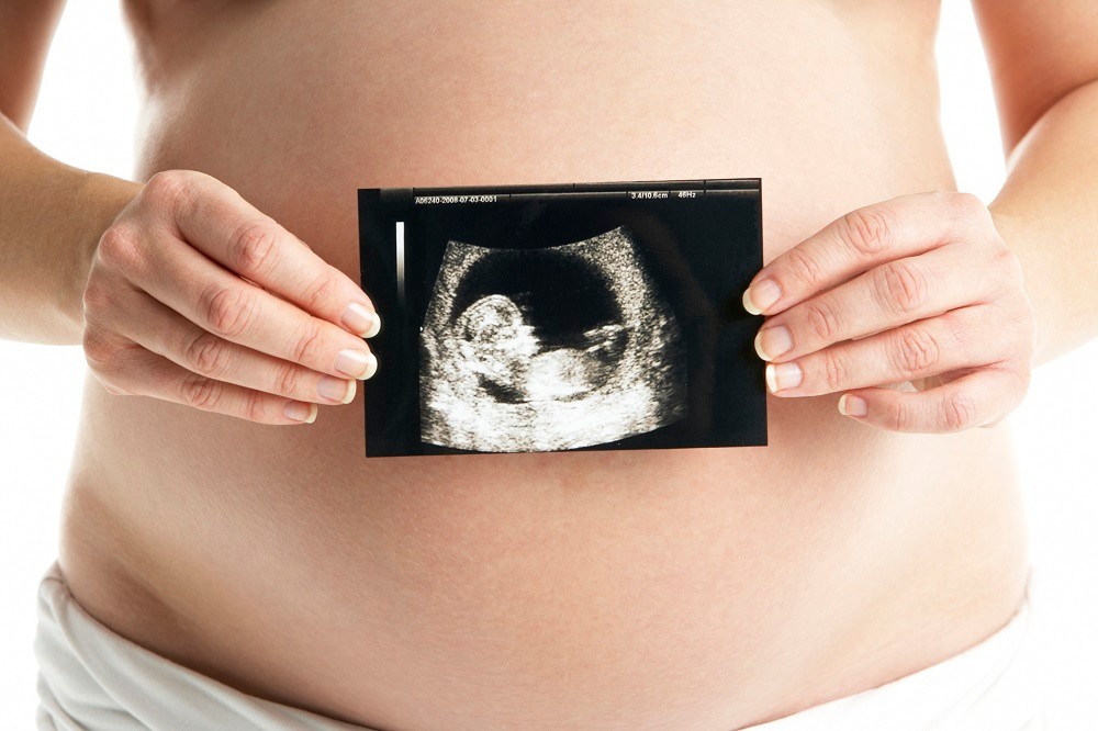 Những công dụng của tổ yến đối với bà bầu và thai nhi 2