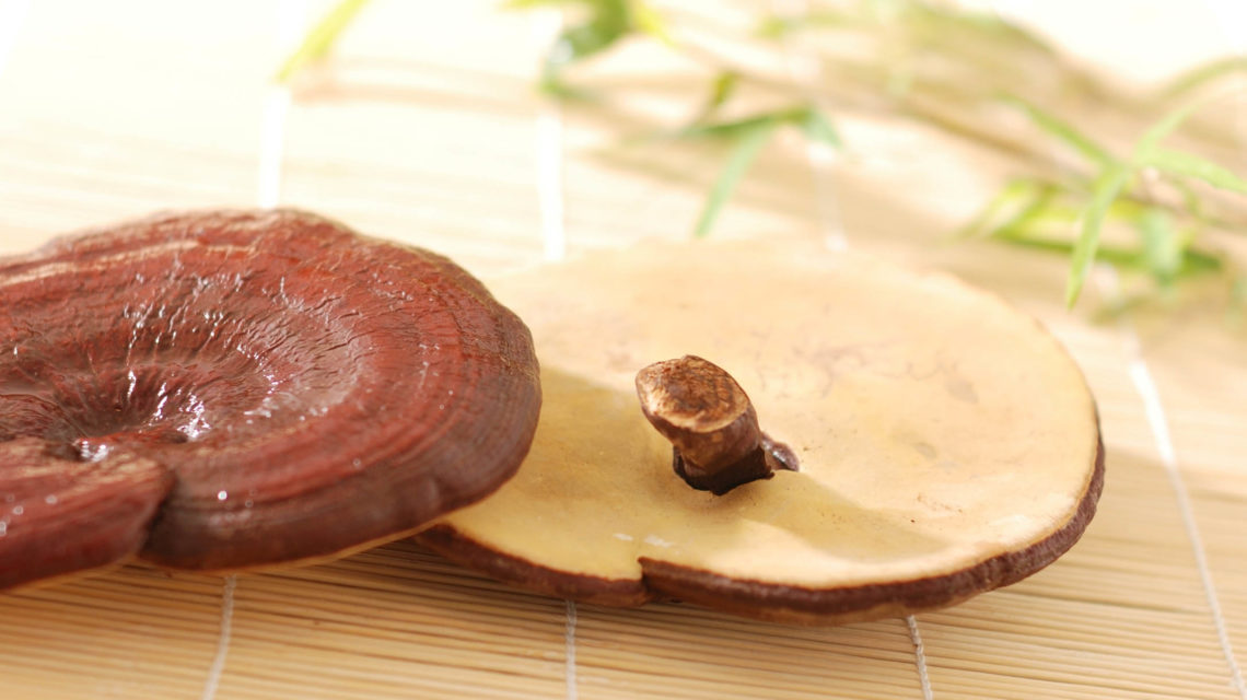 Khoa học nói gì về giá trị dinh dưỡng của nấm linh chi đỏ? 3