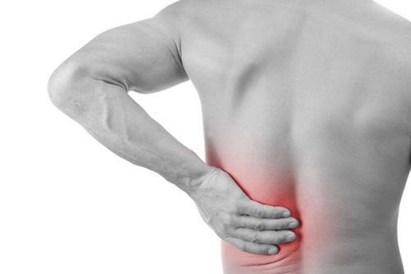 Bài thuốc từ nhân sâm trị đau lưng, đau cơ do bệnh gout 1
