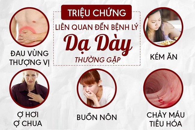 Người bị đau bao tử có ăn được yến sào không ? 2